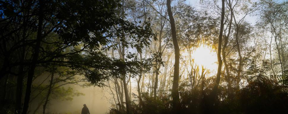 Ambiance brumeux dans la vallée de la Semois, par Péripléties