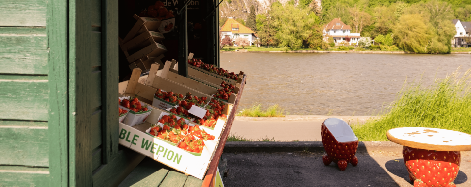 Vendeur de fraises au bord de la Meuse