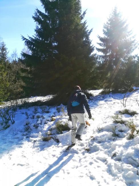 Ein Spaziergang durch den winterlichen Zauberwald - Daniëlle Gevaerts