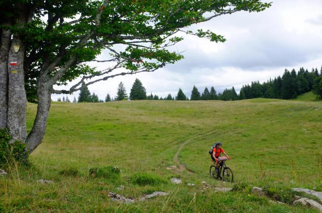 Picture of Pierre Pauquay travelling the Ardennes on a long distance mountain bike trail by Pierre Pauquay