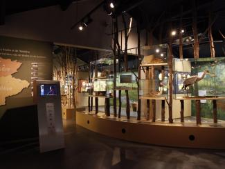 Wald- und Wassermuseum in Berinzenne