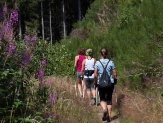 Nordic Walking in het natuurreservaat van Orti - Daniëlle Gevaerts