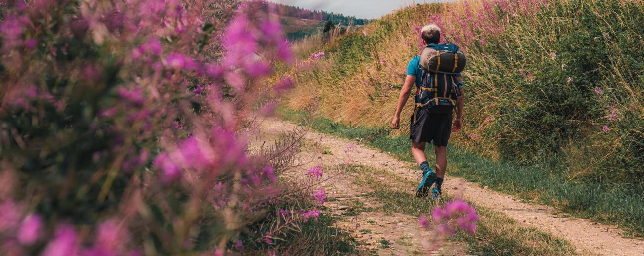 Top des plus belles randonnées à pied - Tourisme en Ardenne