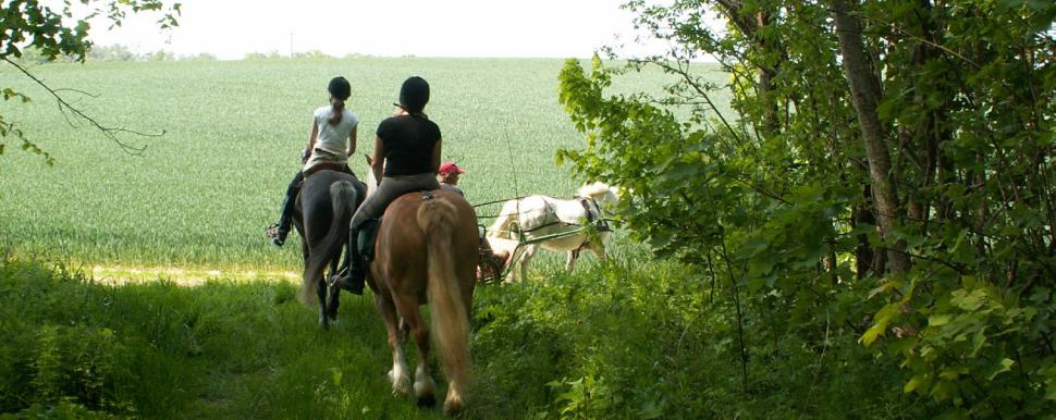 Les itinéraires à cheval en Ardenne - OT Pays Rethelois
