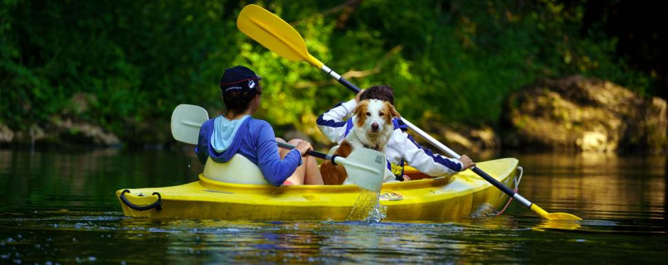 Kayak sur la Lesse en compagnie d'un chien