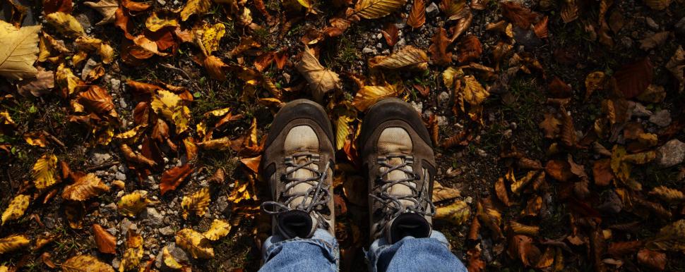 Les pieds dans les feuilles d'automne