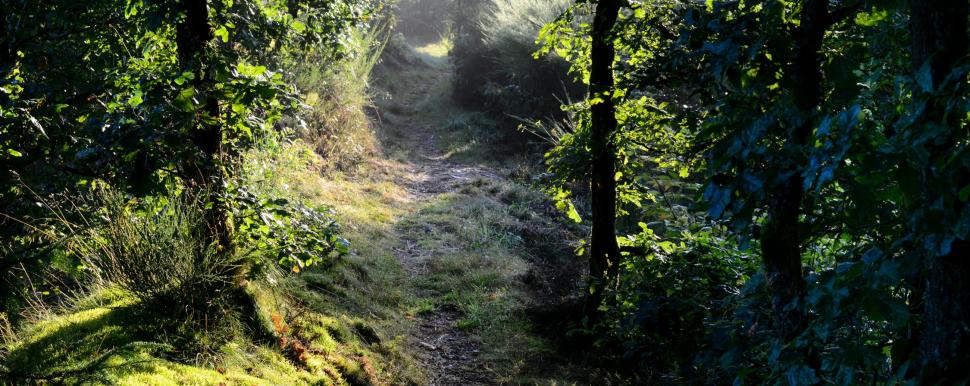 Paysage forestier - Les parcs naturels de l'Ardenne (c) Céline Lecomte, GEIE