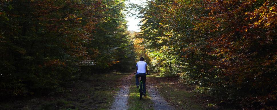 Mountain biking in Anlier forest