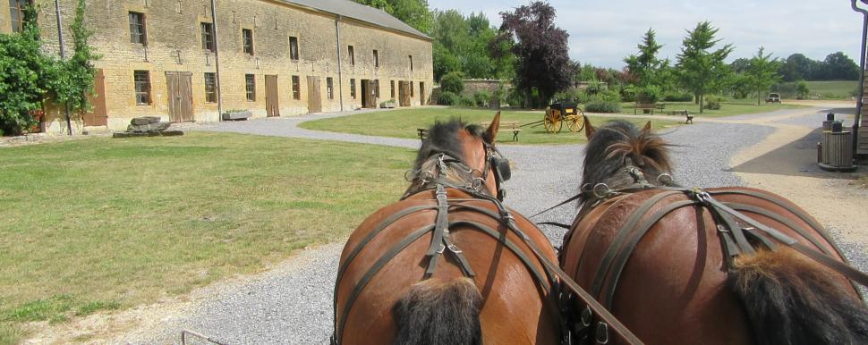 Les Sabots du Relais: Pferdegespann auf der Zufahrt der alten Postkutschenstation von Launois-sur-Vence