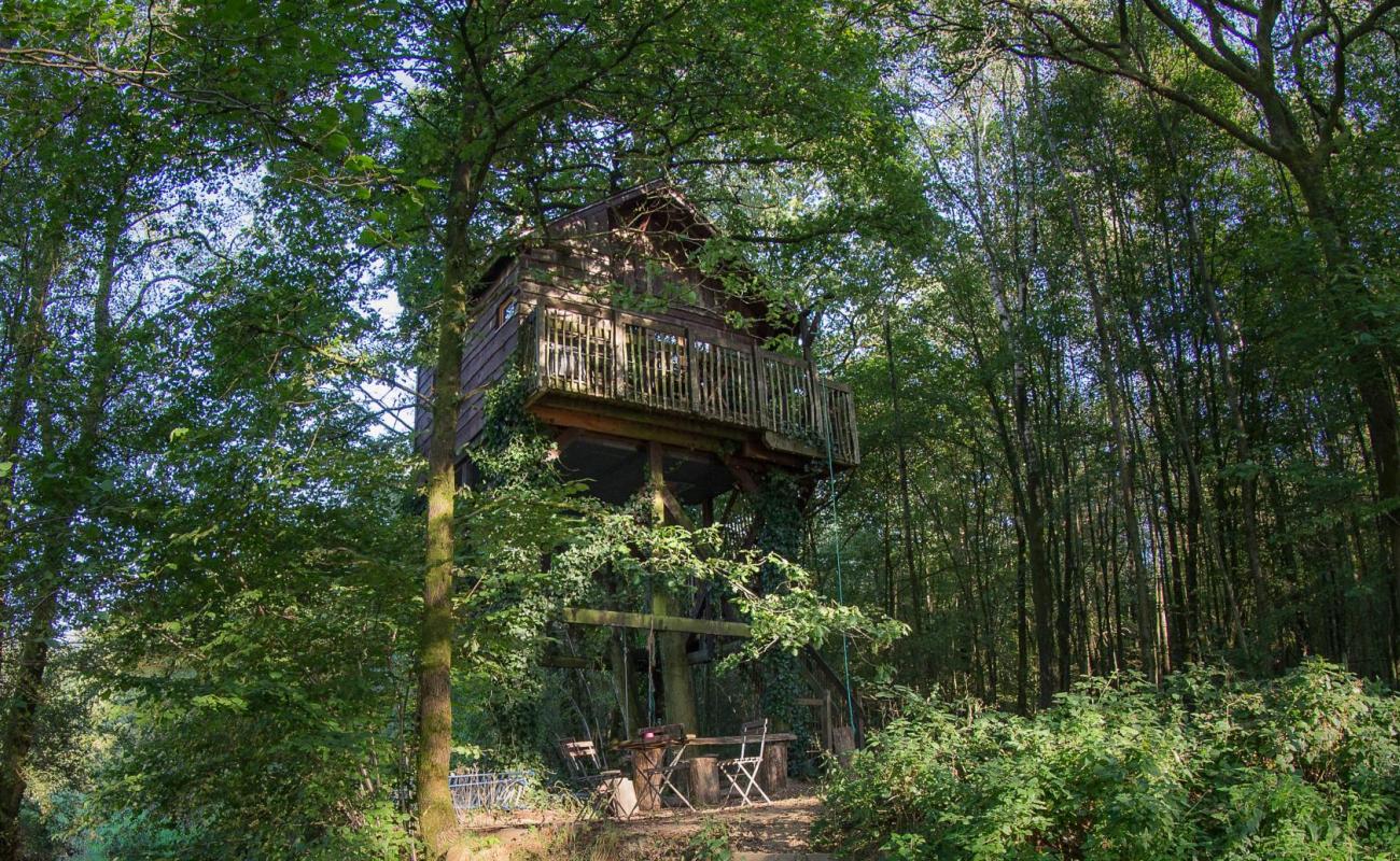 Cabane dans les arbres.