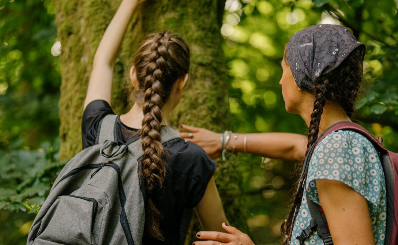 Participants à un bain de forêt.