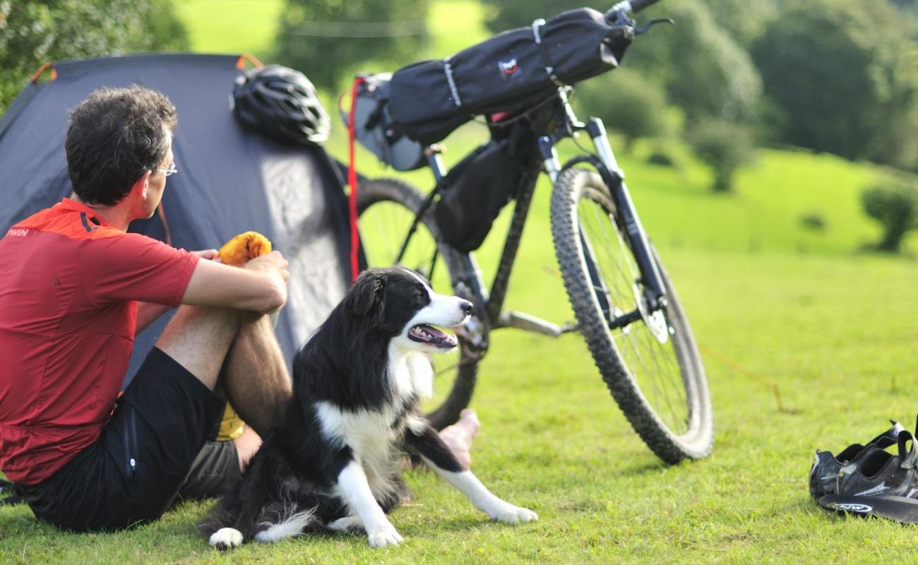 Un cycliste et son chien en pause sur la Transardennaise