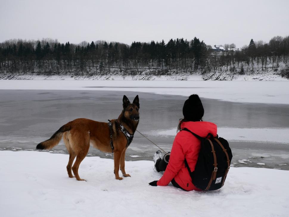 Balade autour du lac de Bütgenbach - Justine et son chien