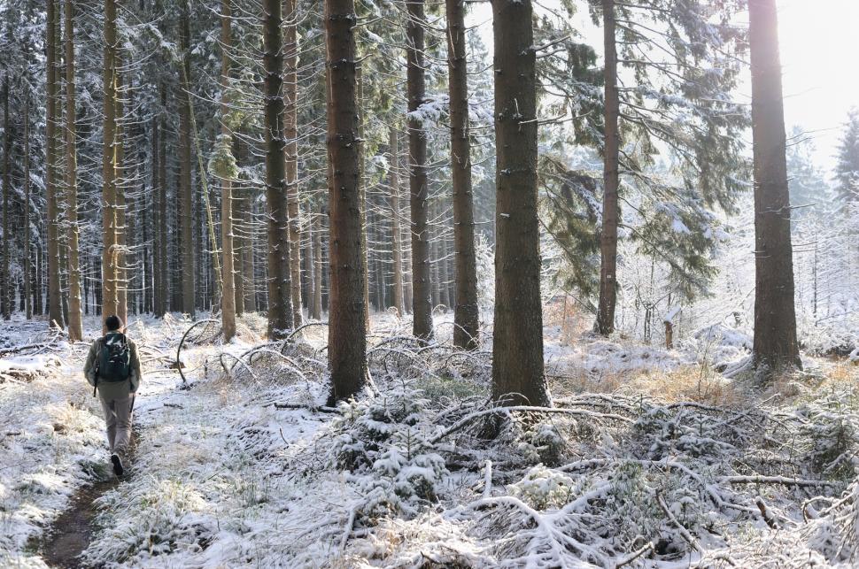 Randonnée en Ardenne sous la neige