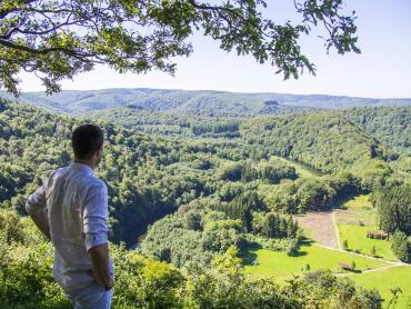 Spring in the Ardennes - viewpoint