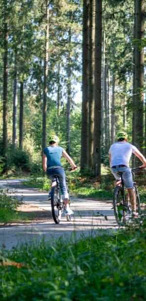Cyclistes en forêt