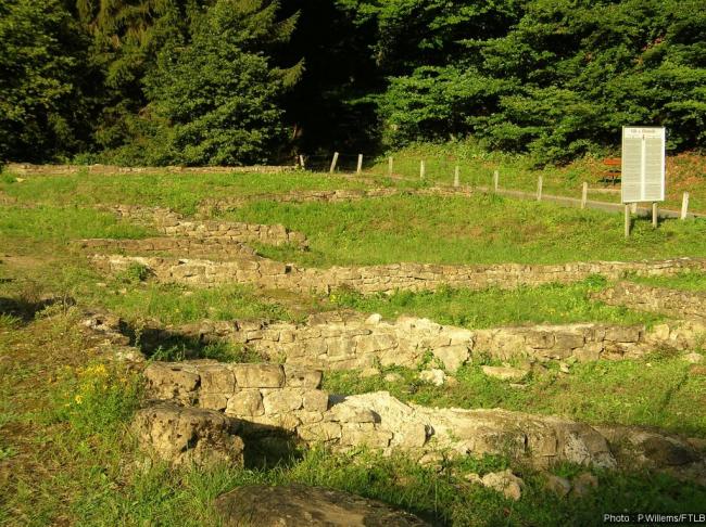 Roman remains at Chameleux - © P.Willems/FTLB