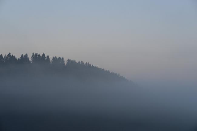 Nebelhügel Luxemburg