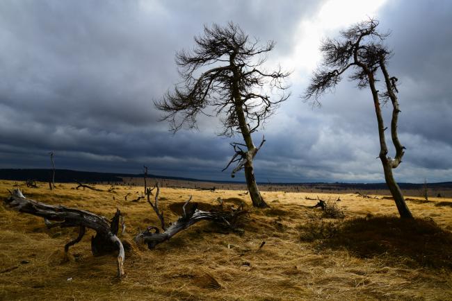 Hautes Fagnes with a stormy day sky