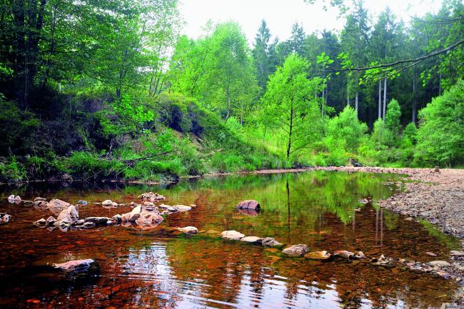 Petergensfeld, paysage de rivière et de forêt