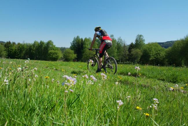 Mountainbiken in de omgeving van Dochamps - Pierre Pauquay