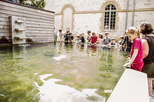 Des enfants autour d'un bassin, au Domaine de Vendresse, par le Domaine de Vendresse
