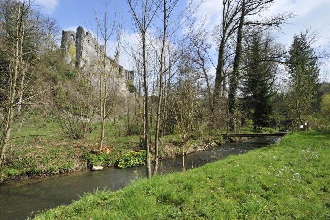 Die Ruinen der Burg von Montaigle - Pierre Pauquay