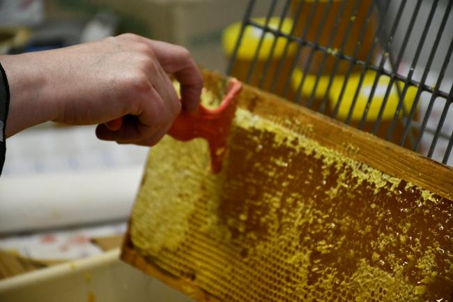 De honingproductie - Joce des Abeilles