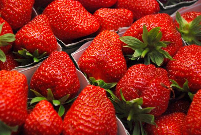 Erdbeeren aus Wépion, fotografiert von Emmanuel Mathez