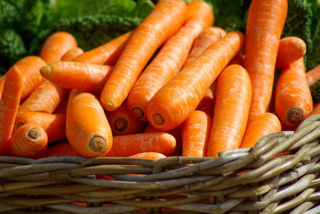 Panier de carottes
