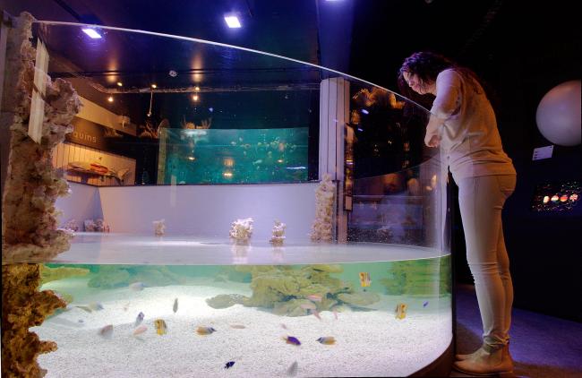 Aquarium van Luik - bad