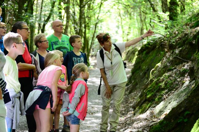 Sorties nature en Ardenne - groupe d'adultes et enfants lors d'une sortie