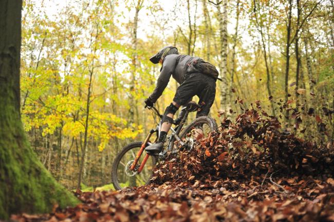 Mountainbiker in de Ardennen - Pierre Pauquay