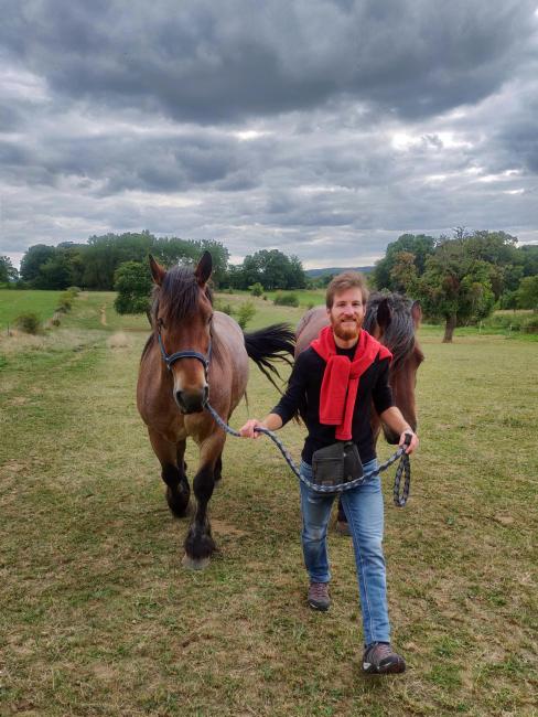 Meeting the Ardennes draught horses - Claire the Green Geekette