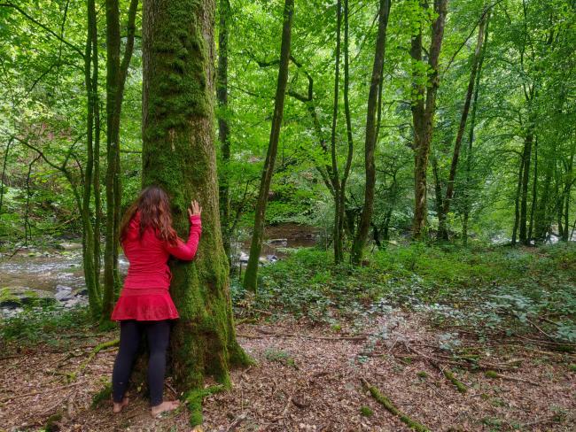 Se ressourcer en pleine forêt avec la sylvothérapie, par Claire The Green Geekette