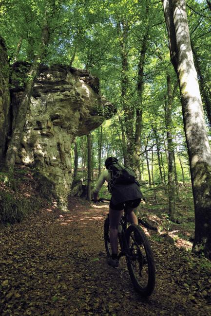 wasserette Conceit strategie The best mountain-biking spots | Tourism in the Ardennes