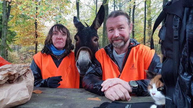 Emmanuel Crametz - A donkey in the Ardennes