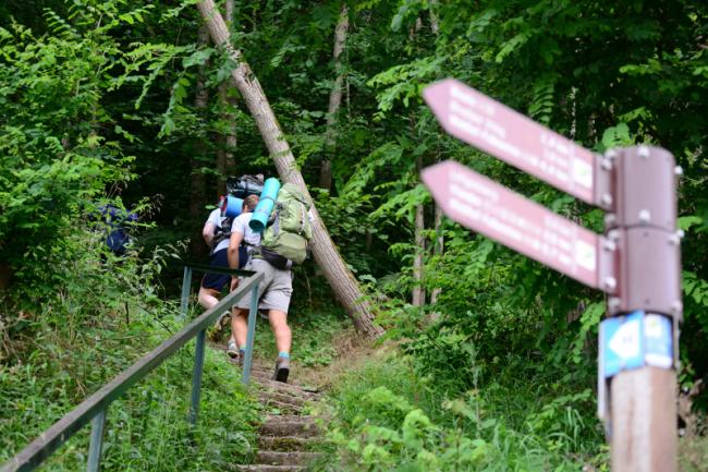 Randonneurs avec un sac à dos montant un escalier pour se rendre en forêt