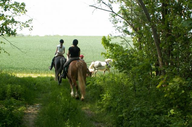 Les itinéraires à cheval en Ardenne - OT Pays Rethelois