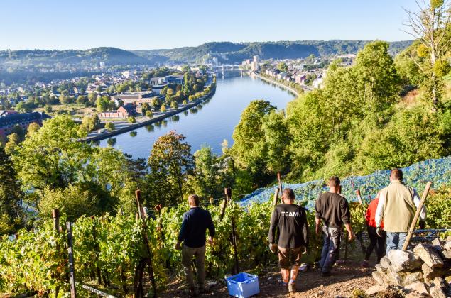 Stunning view of the Meuse in Huy