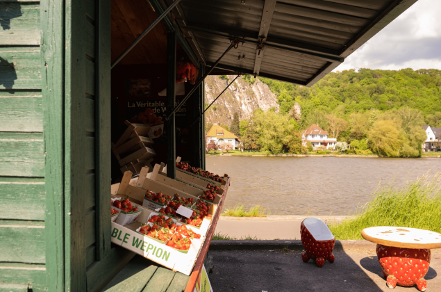 Vendeur de fraises au bord de la Meuse
