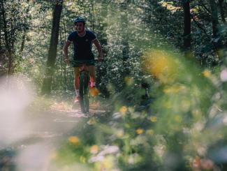 Ein Mountainbiker im Wald