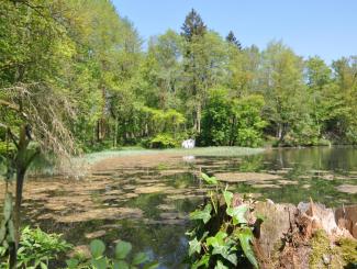 natural pond near Orval