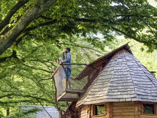Une cabane dans une arbre - David Truillard