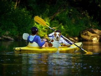 Kayak sur la Lesse en compagnie d'un chien