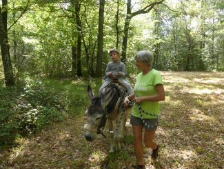 Escap’ânes in Marche-en-Famenne