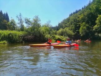 Kayaks sur la Semois