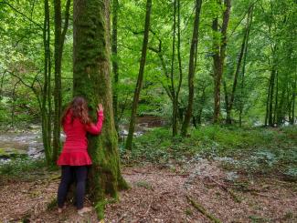 Auf Tuchfühlung mit der Natur in den Ardennen - The Green Geekette