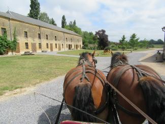 Les Sabots du Relais: horses arriving at the post-coach inn at Launois-sur-Vence
